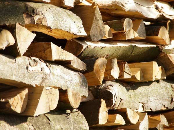 Legna da ardere prezzi al quintale Reggio Emilia Montecchio Puianello - legna  da ardere in tronchi